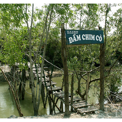 Tour du lịch vàm sát