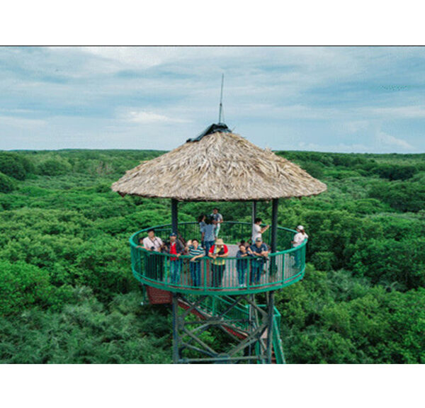 Khám phá tháp tang bồng