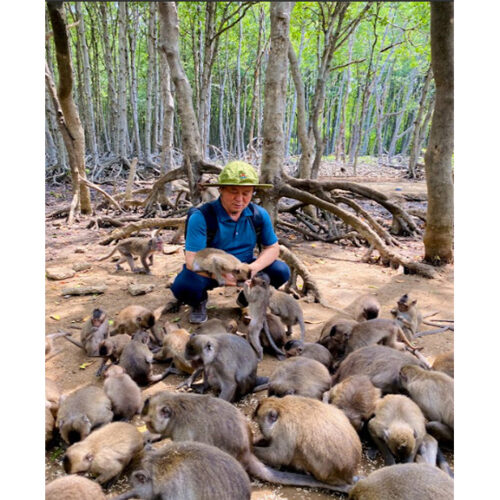 Du lịch đảo khỉ