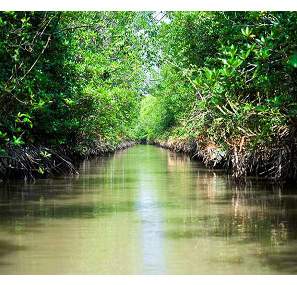 Tham quan khám phá Vàm sát