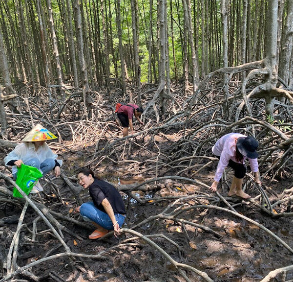 tham quan rừng sác