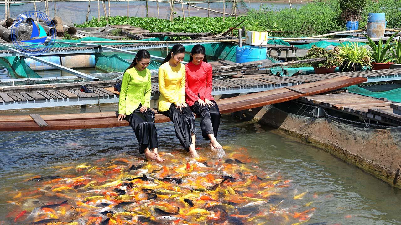 Tour du lịch miền Tây - Cồn Sơn
