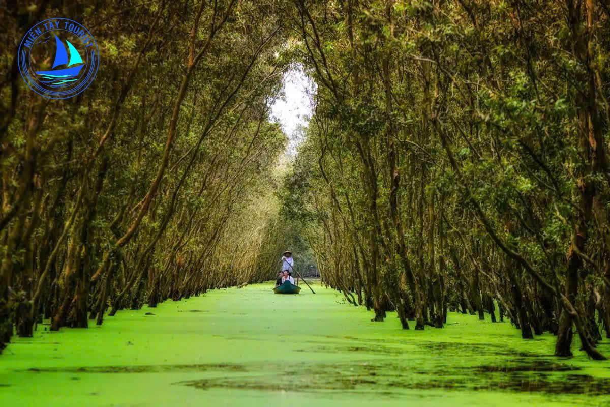 Rừng Tràm Trà Sư - Tour Miền Tây 