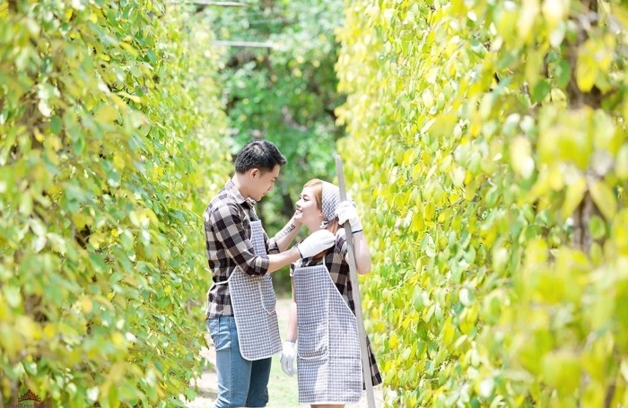 Tour Du Lịch Phú Quốc 4 Ngày 3 Đêm 4 Vuon Tieu Suoi Da