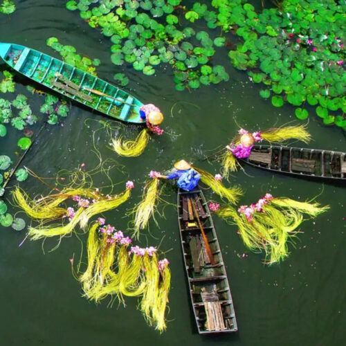 Tour Khám Phá Miền Tây: Mỹ Tho - Cần Thơ