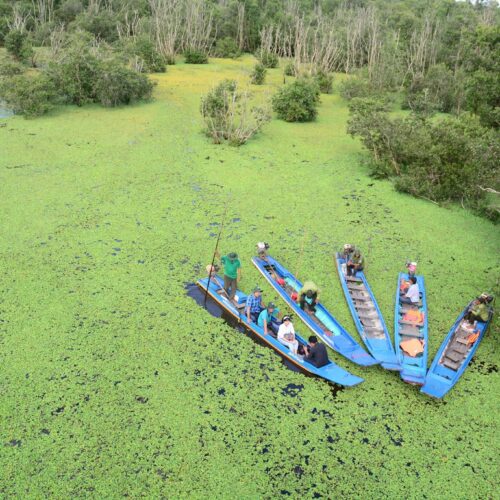 Tour Du Lịch Sinh Thái: Sa Đéc - Cao Lãnh